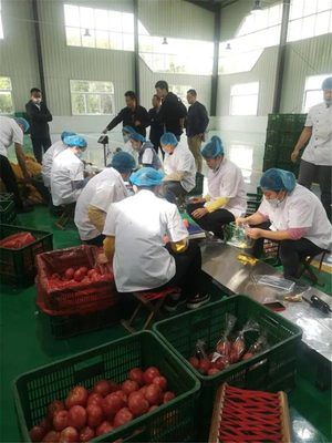 玉皇廟鎮(zhèn)中匯中央廚房攜手美團開展市場調(diào)研，開啟數(shù)字化餐飲新篇章