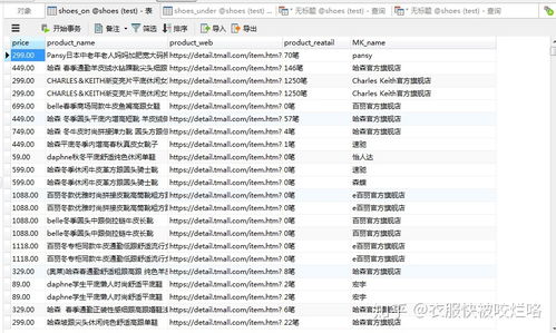 女鞋市場調查技術咨詢 洞察趨勢與優化決策