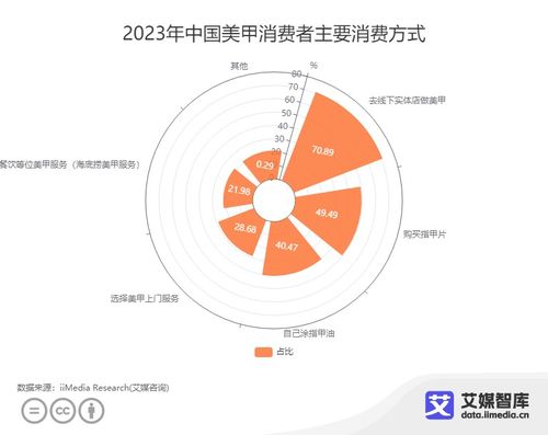 中國(guó)美甲行業(yè)消費(fèi)者行為洞察 數(shù)據(jù)驅(qū)動(dòng)下的市場(chǎng)新趨勢(shì)